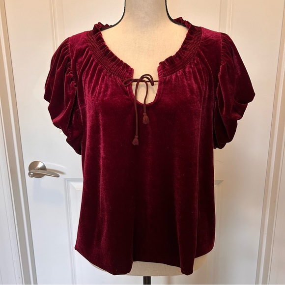 Free People Red Velvet Ruffled Flutter Short Sleeve Blouse SZ L - Picture 1 of 5